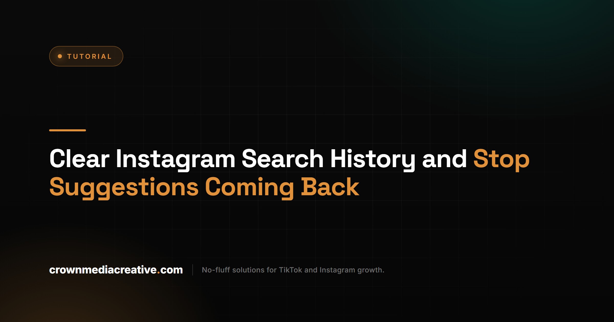 Clear Instagram Search History and Stop Suggestions Coming Back
