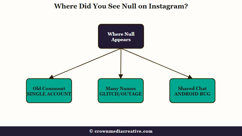 Where null appears on Instagram and its cause