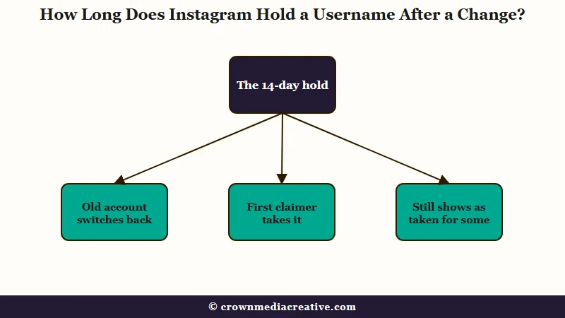 What happens to an Instagram username after a change
